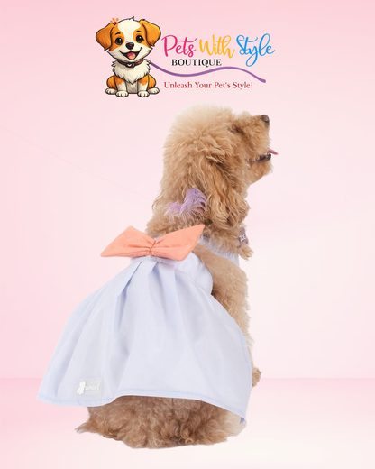 Fiyonklu Köpek Elbisesi