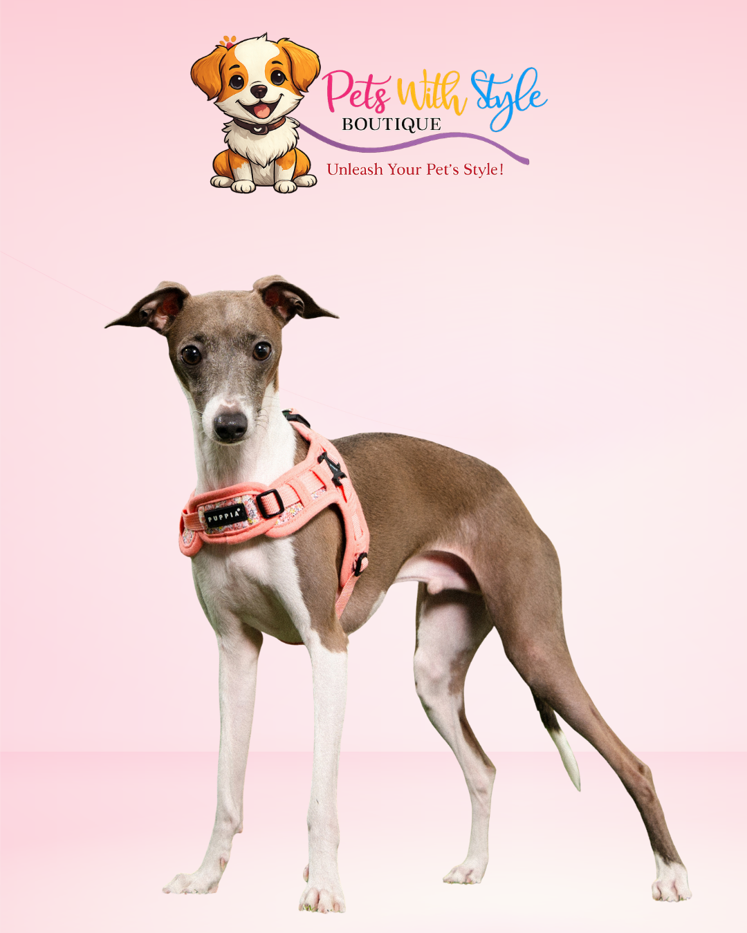 Puppia Kealoha Ayarlanabilir Göğüs Tasması – Sevgi Dolu Köpek Göğüs Tasması