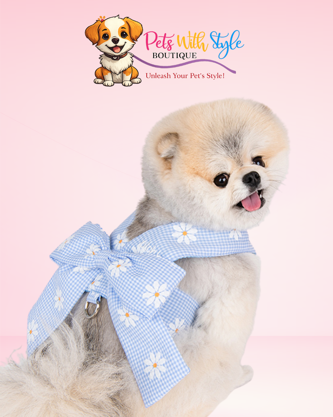 Olchi Candy Ayarlanabilir Göğüs Tasması – Tatlı Tasarımlı Köpek Göğüs Tasması