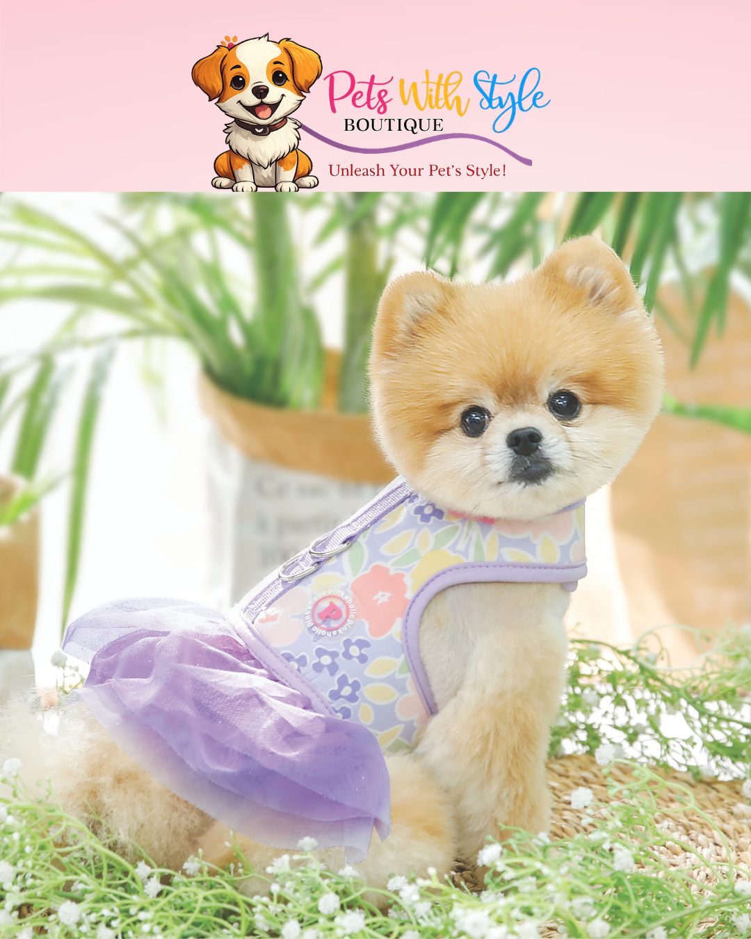 Pinkaholic Evanthe Flirt Harness Köpek Kıyafeti – Koşum Entegreli Feminen Evcil Hayvan Kıyafeti