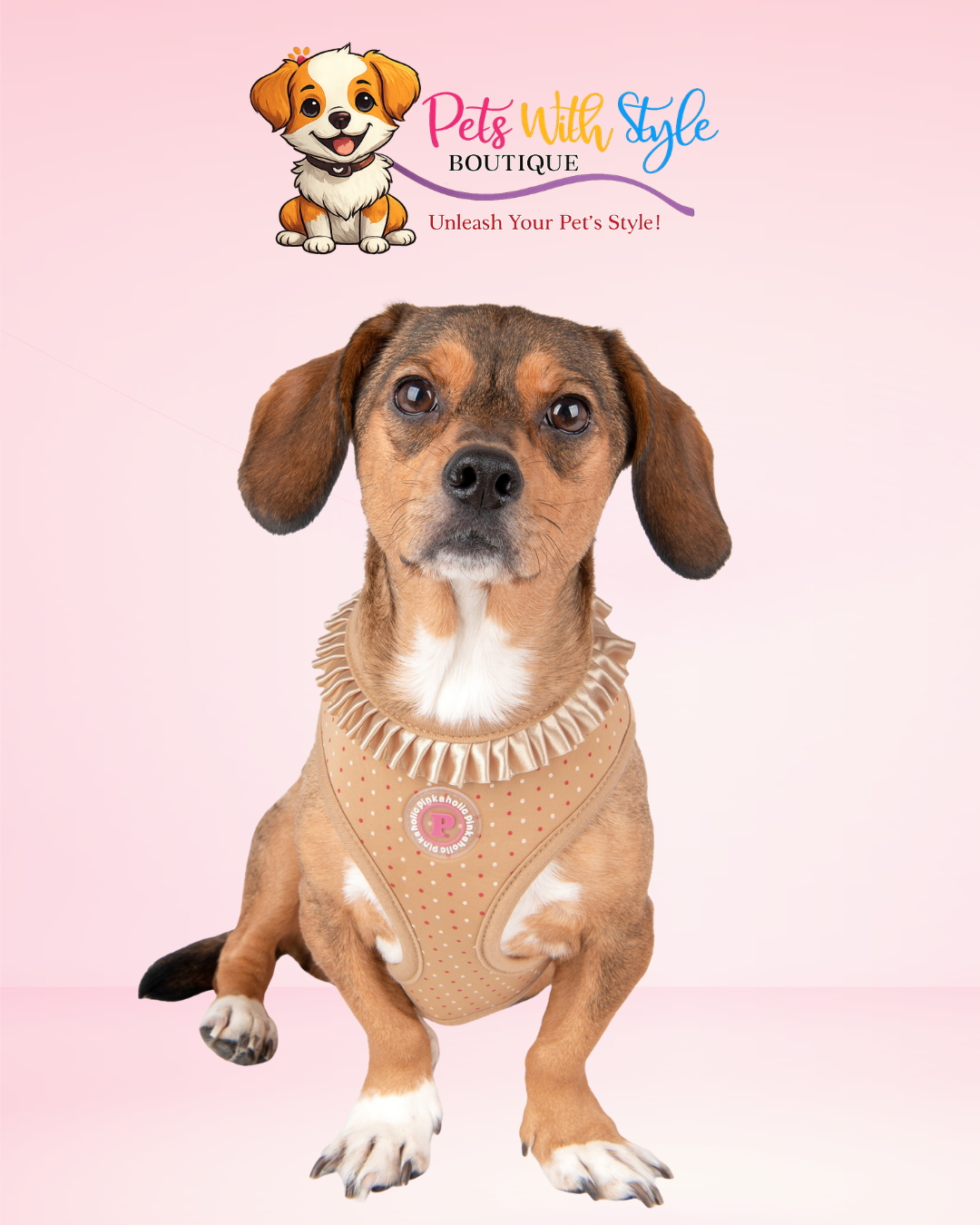 Pinkaholic Mila Ayarlanabilir Göğüs Tasması – Feminen Tasarımlı Köpek Tasması
