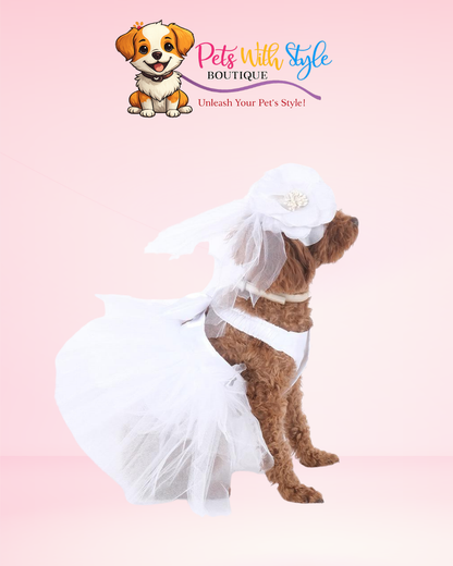 Beyaz Tüllü Kedi & Köpek Gelinlik