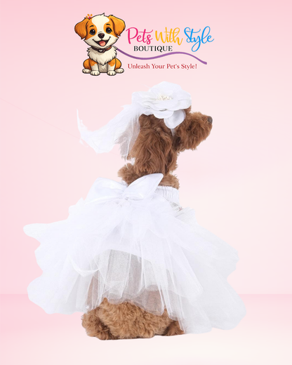 Beyaz Tüllü Kedi & Köpek Gelinlik