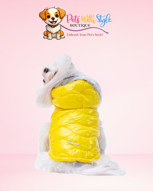 Sarı Köpek Yeleği