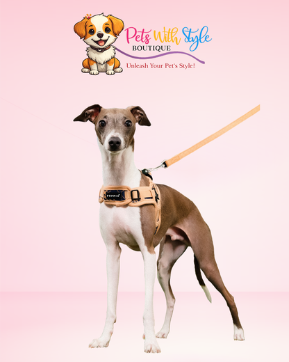 Puppia Corwin Ayarlanabilir Göğüs Tasması – Klasik Tasarımlı Köpek Göğüs Tasması