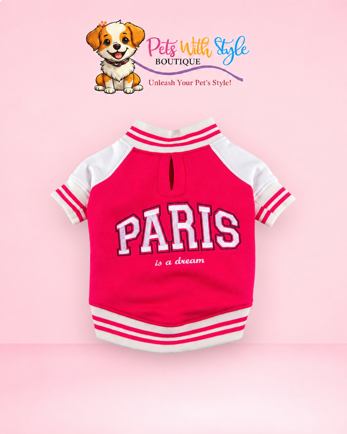 Paris Kollu Kolej Ceket