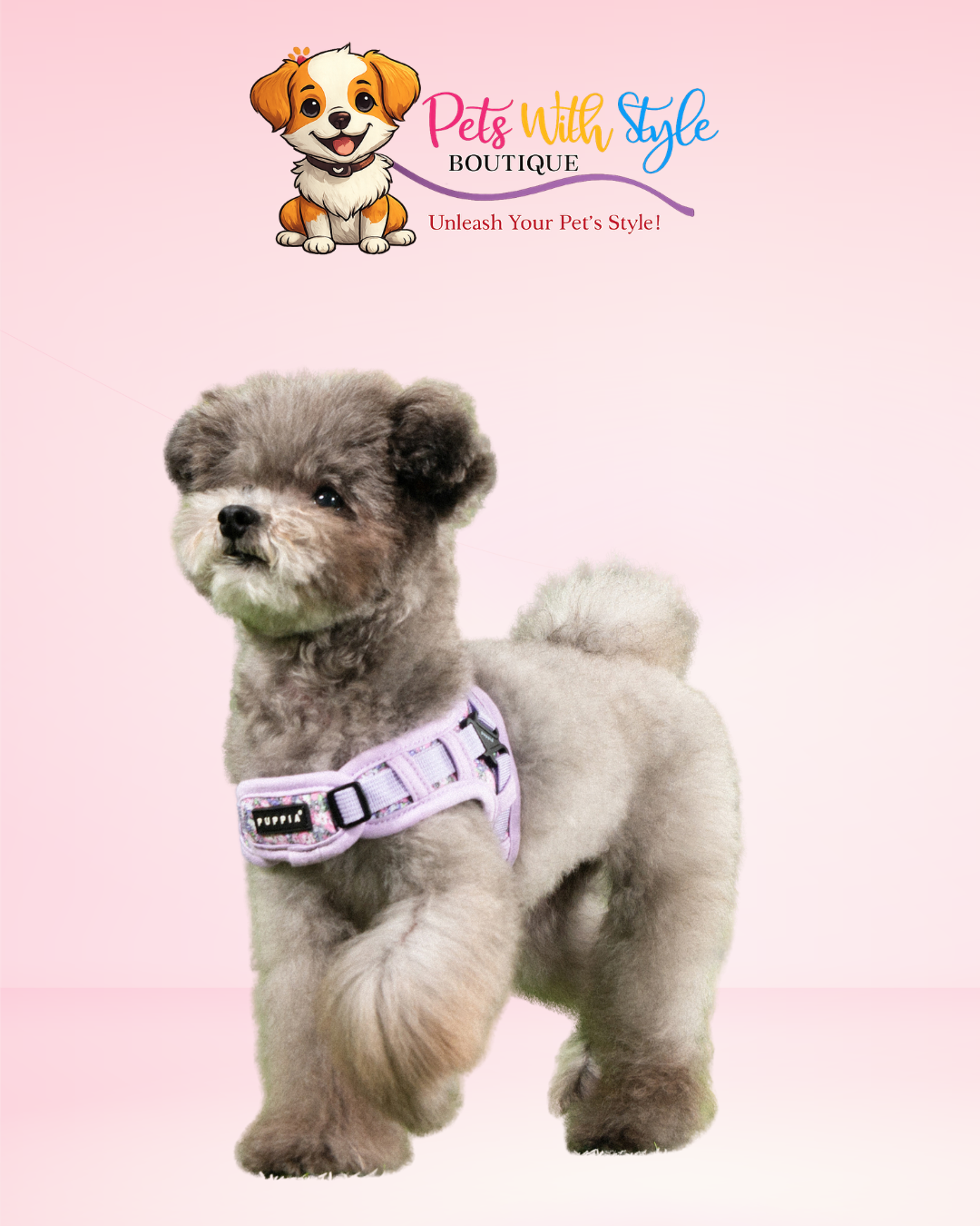 Puppia Kealoha Ayarlanabilir Göğüs Tasması – Sevgi Dolu Köpek Göğüs Tasması