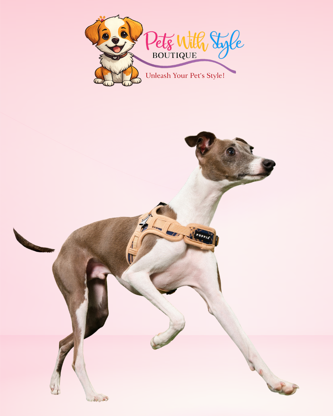 Puppia Corwin Ayarlanabilir Göğüs Tasması – Klasik Tasarımlı Köpek Göğüs Tasması