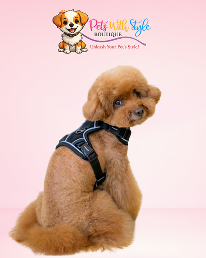 Puppia Terry Ayarlanabilir Göğüs Tasması – Yumuşak Dokulu Köpek Göğüs Tasması