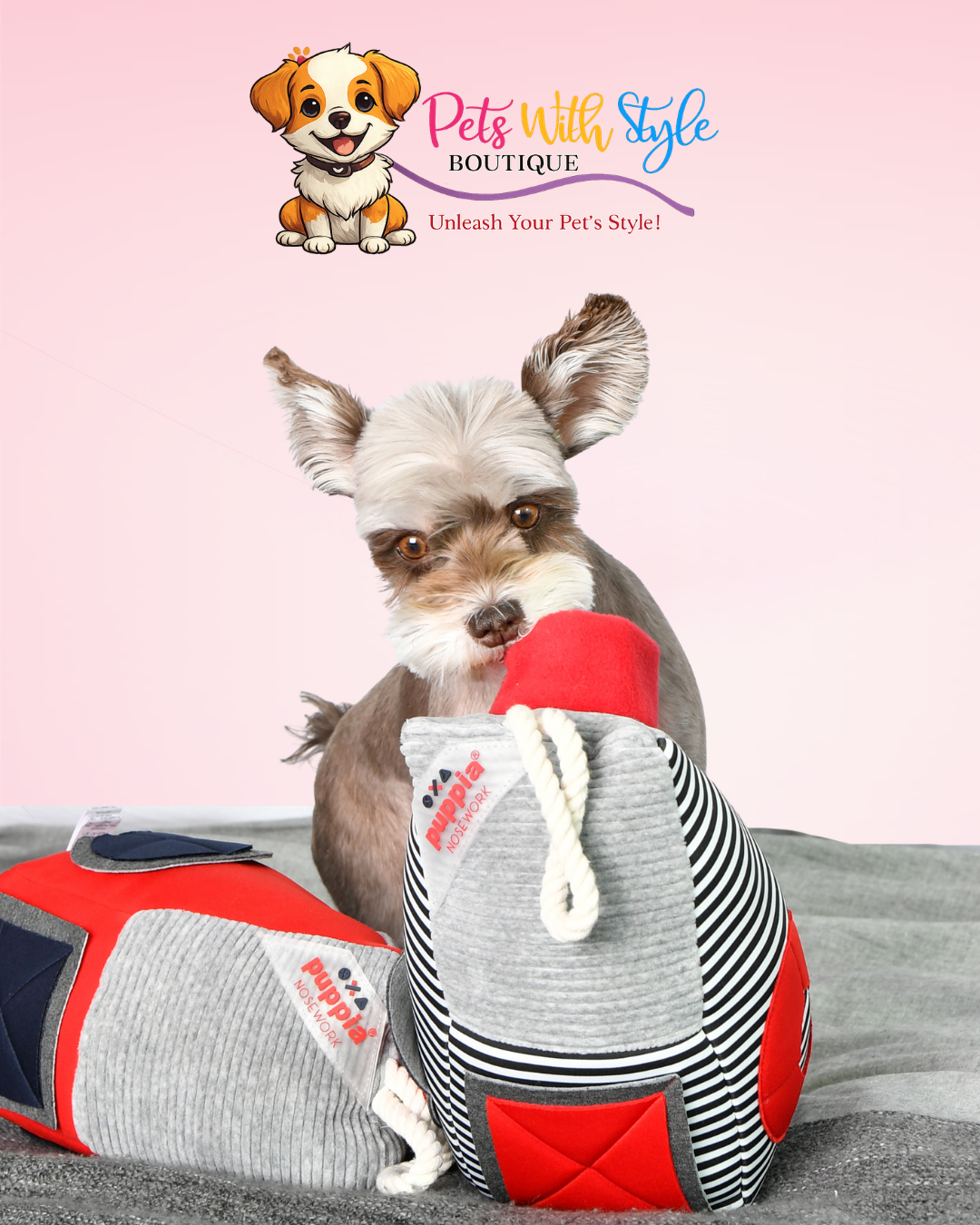 Puppia Farm House Evcil Hayvan Zeka Oyuncağı – Çiftlik Temalı Köpek Zeka Oyuncağı