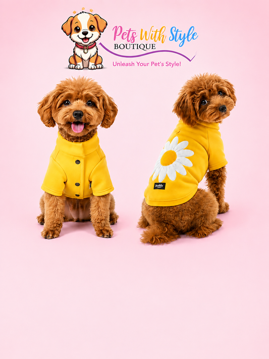 Sarı Hakim Yaka Köpek Sweat Ceket
