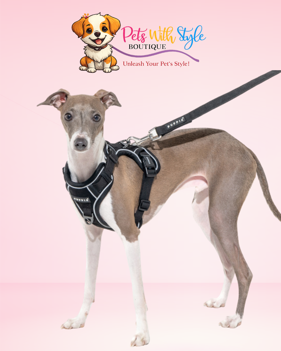 Puppia Terry Ayarlanabilir Göğüs Tasması – Yumuşak Dokulu Köpek Göğüs Tasması