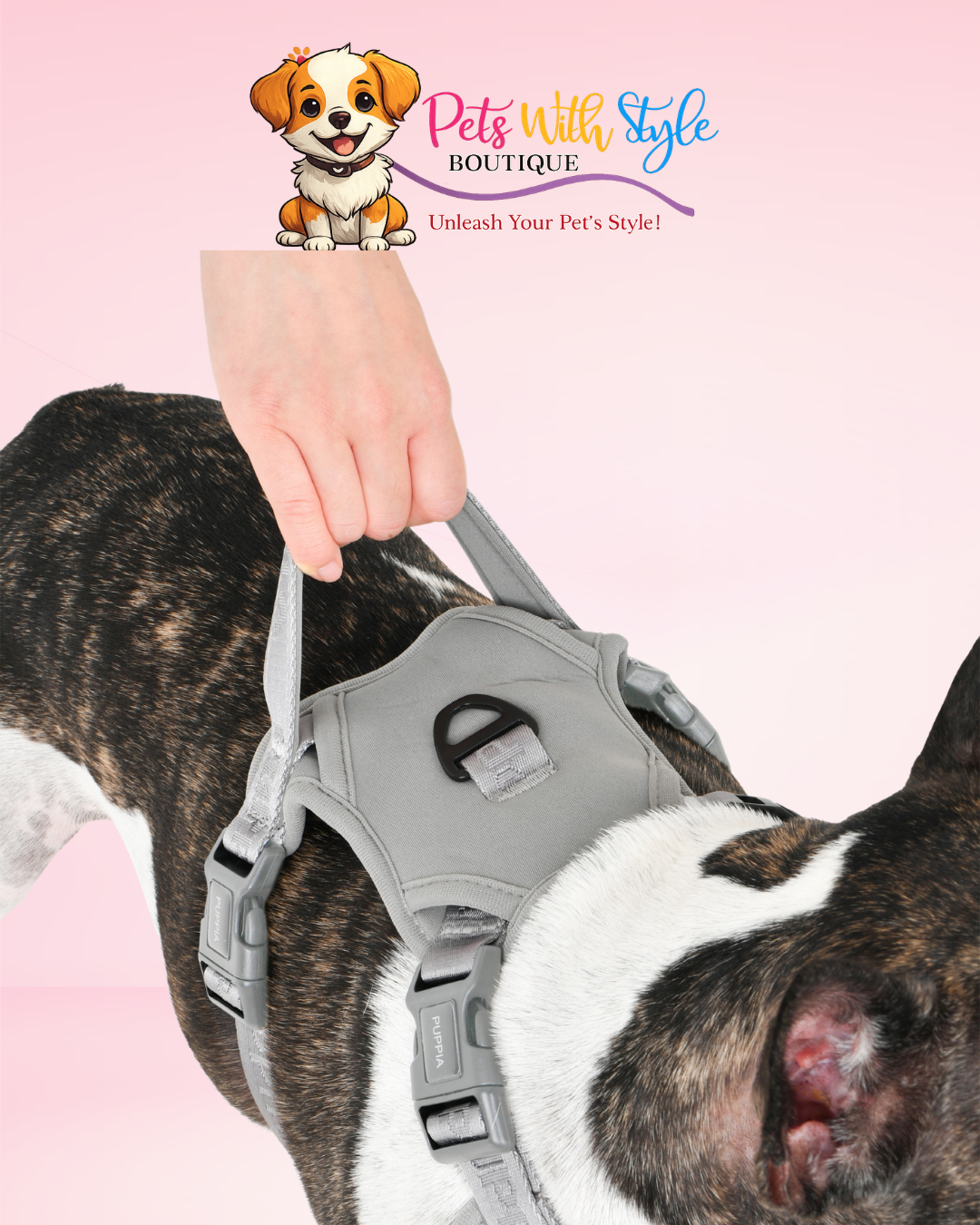 Puppia Jarek Harness Black Plaid Köpek Tasması – Siyah Ekose Koşum Göğüs Tasması