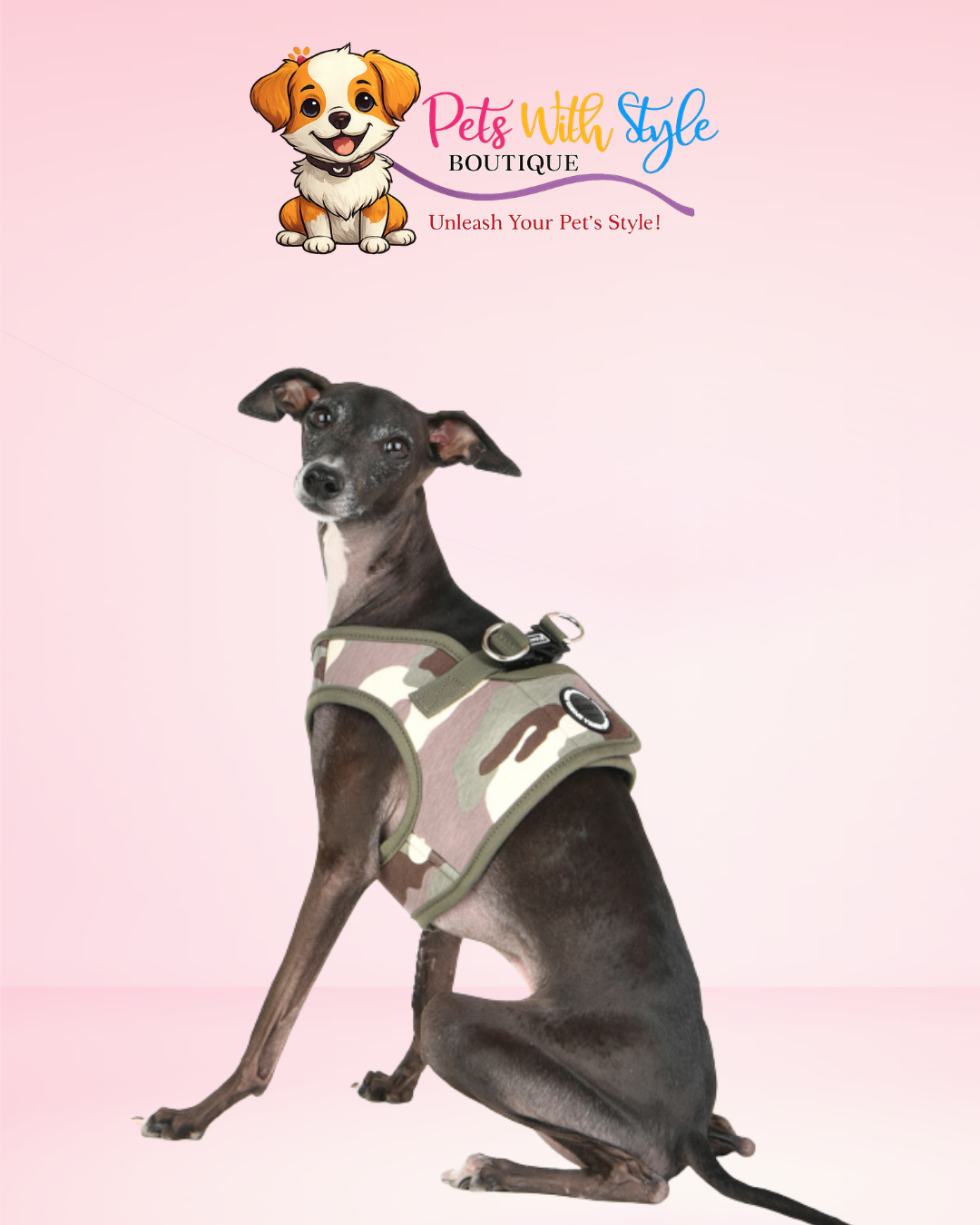 Puppia Lance Harness B Pava Köpek Göğüs Tasması – Tavus Kuşu Desenli Koşum Tasması