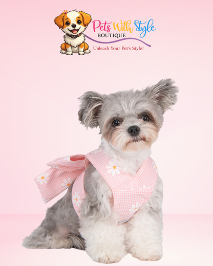 Olchi Candy Ayarlanabilir Göğüs Tasması – Tatlı Tasarımlı Köpek Göğüs Tasması