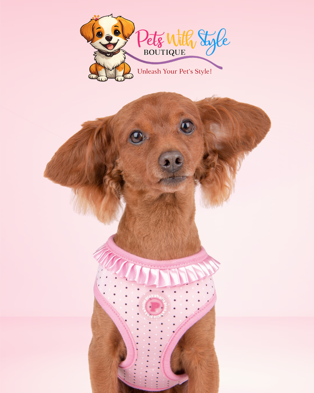 Pinkaholic Mila Ayarlanabilir Göğüs Tasması – Feminen Tasarımlı Köpek Tasması