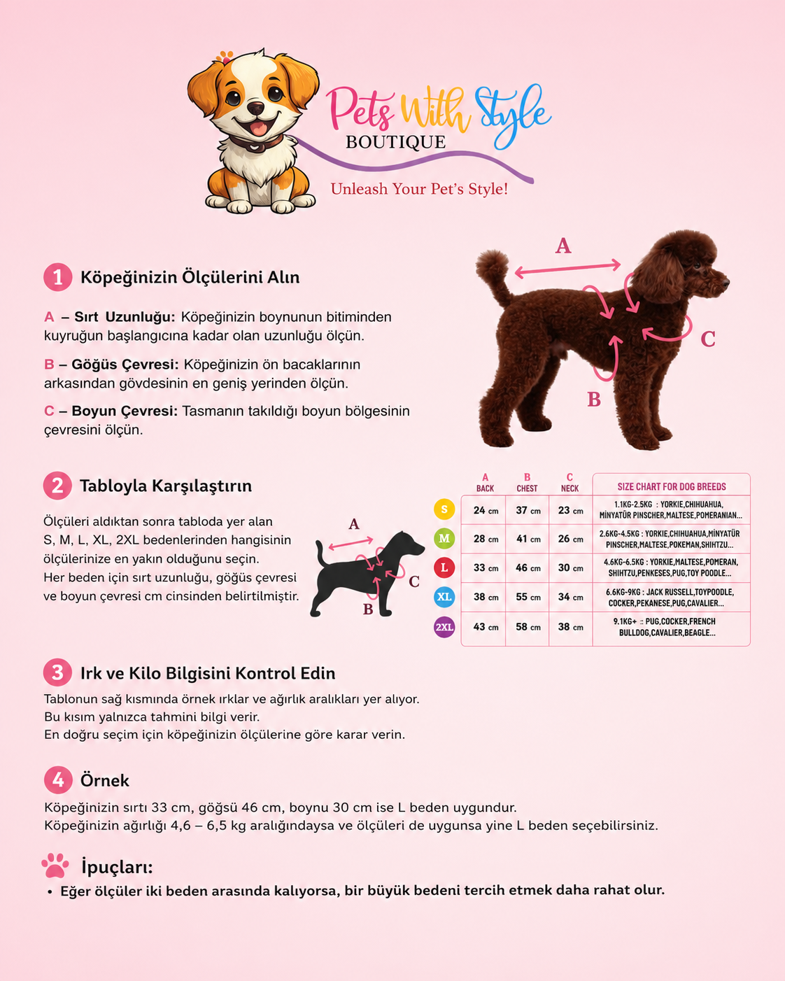 Fuşya Cancun  Nakışlı Köpek Ceketi Kedi Köpek Kıyafeti